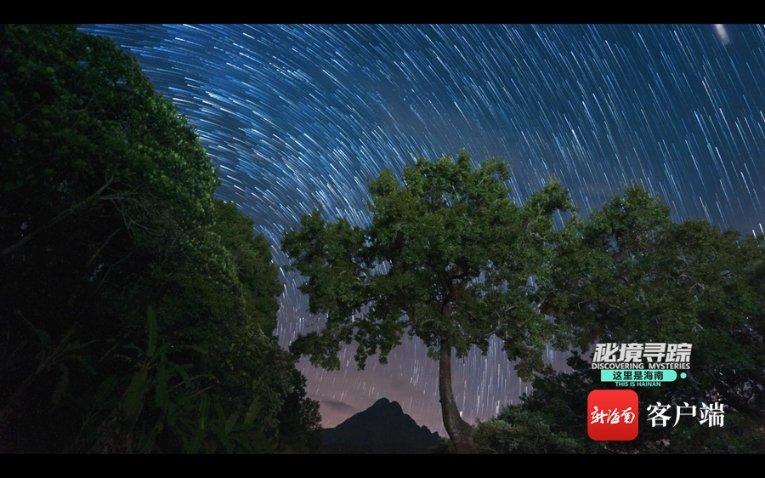 竞技宝one